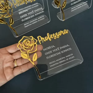 Placa Professora